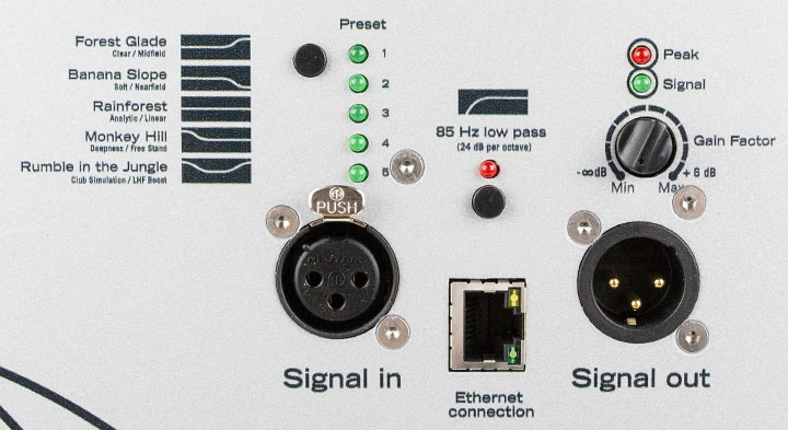 silverback-back